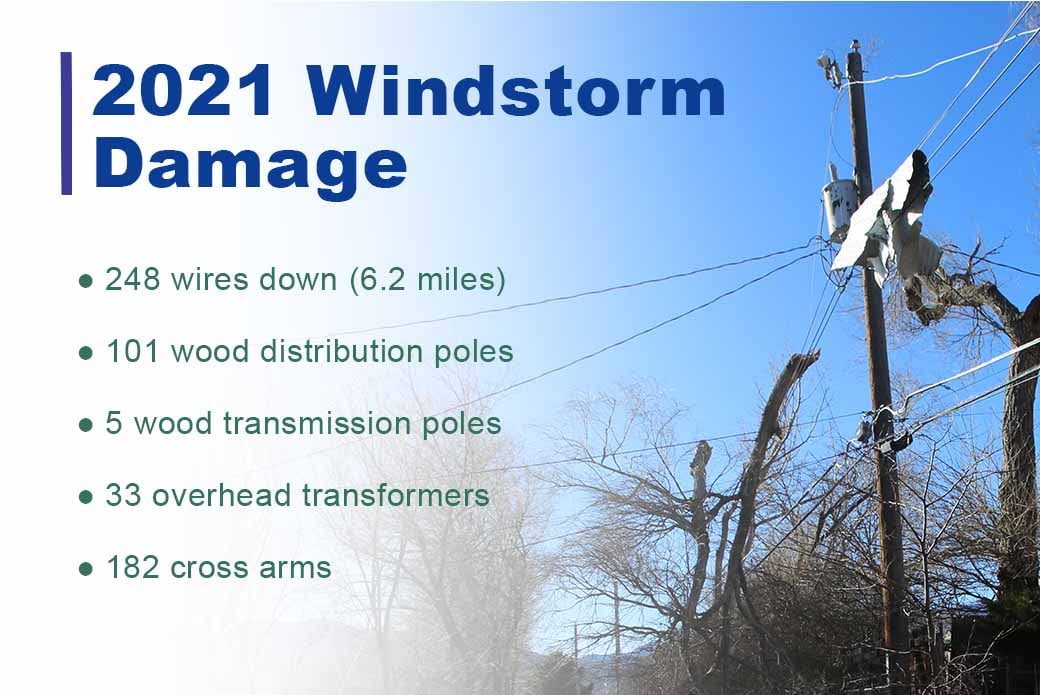 A photo of powerlines with fallen tree limbs on it with a clear blue sky. The title of the graphic is "2021 Windstorm Damage".