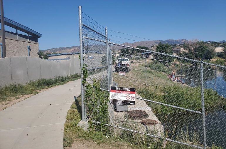 A white pickup truck parked next to a body of water. A sign on a chain link fence says "Warning, toxic algae present". 