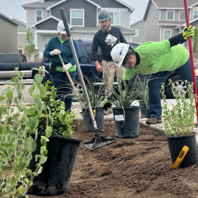 HabitatVolunteering