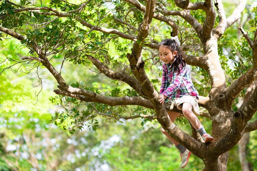 kid climbing tree girl child play nature conservation water