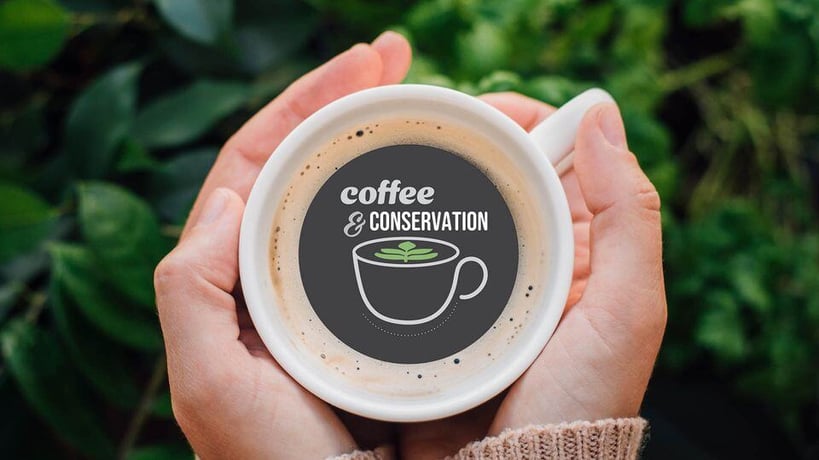 A pair of hands cradles a coffee cup adorned with the words “coffee & conservation.” The background features lush green leaves.