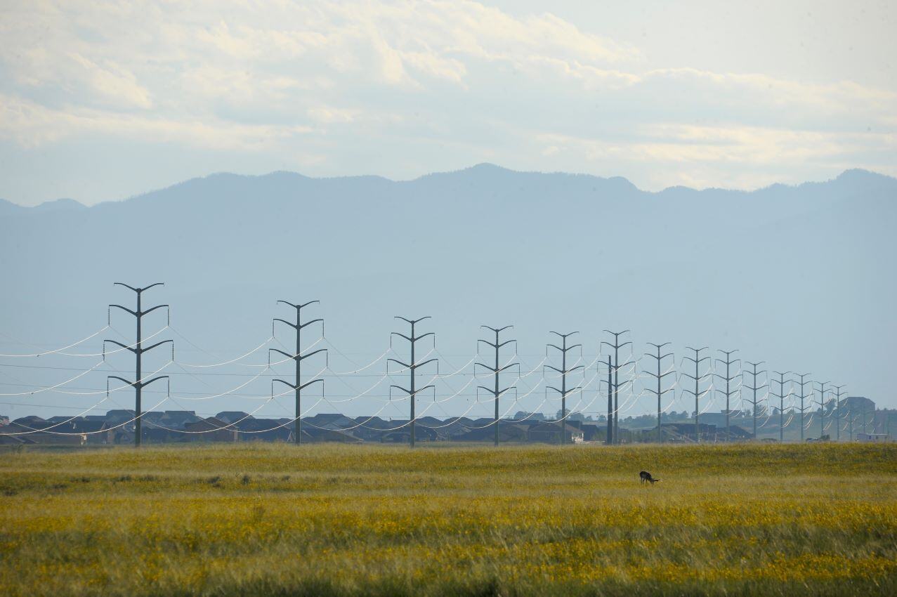 a field of grass and telephone poles with mountains in the background