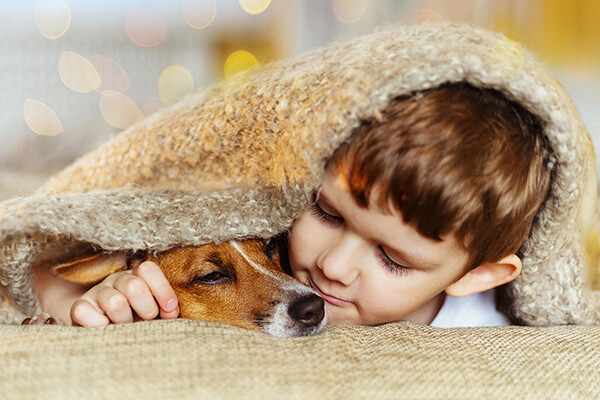 young boy snuggling under blanket with his dog