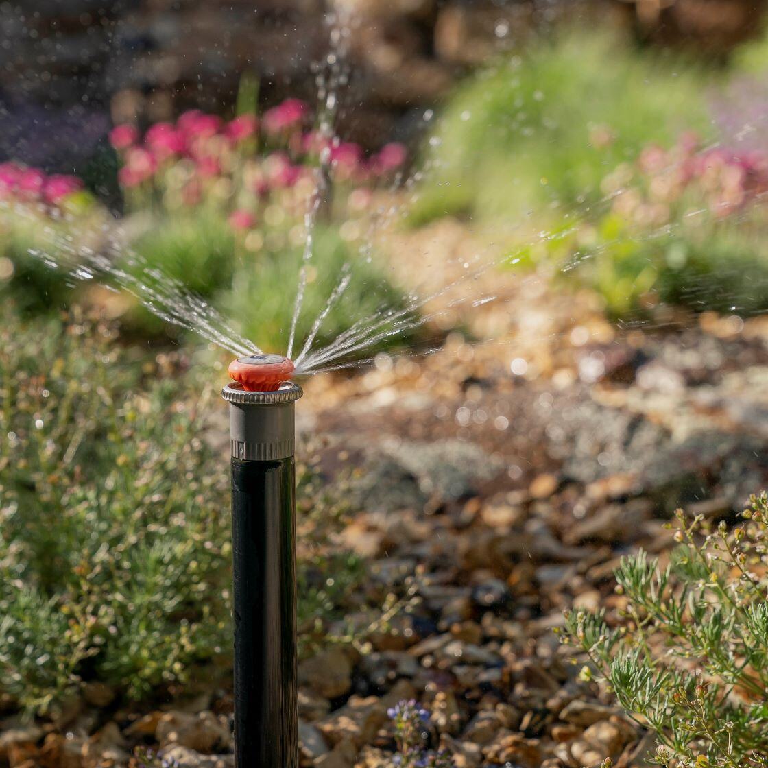 A pop-up sprinkler nozzle sprays small jets of water into a flower bed with pink flowers visible in the blurred background. The focus is on the nozzle