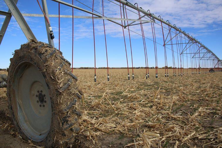 An irrigation pivot in a field. A pivot is a piece of equipment on wheels with hoses to irrigate crops. The tire closest to the camera is muddy.