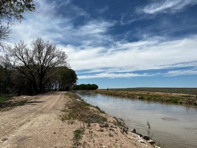 A canal on the east plains filled with water. Grasslands stretch out to the right and a gravel road lined with trees is visible on the left.