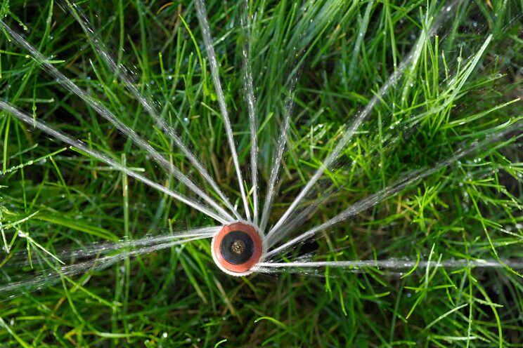 A sprinkler spraying approximately 10 concentrated streams of water on to green grass.