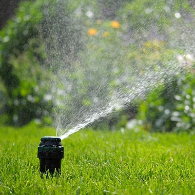 Close-up view of a black sprinkler head in the center of a lush green lawn, with water spraying out in an arc pattern. 