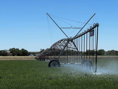 An irrigation pivot in a green field. The pivot is a large piece of irrigation equipment on wheels with hoses that hang down and spray crops below.