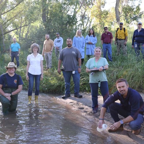 Water Quality Team