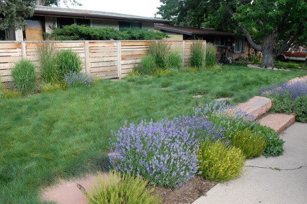 Contemporary Xeriscape 