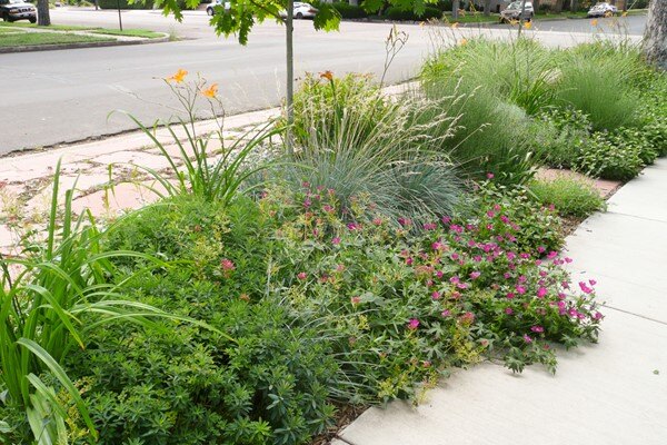 Flagstone and Flowers 