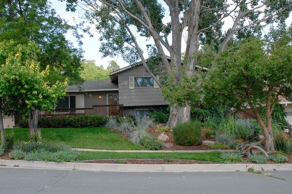 Front Yard Facelift 