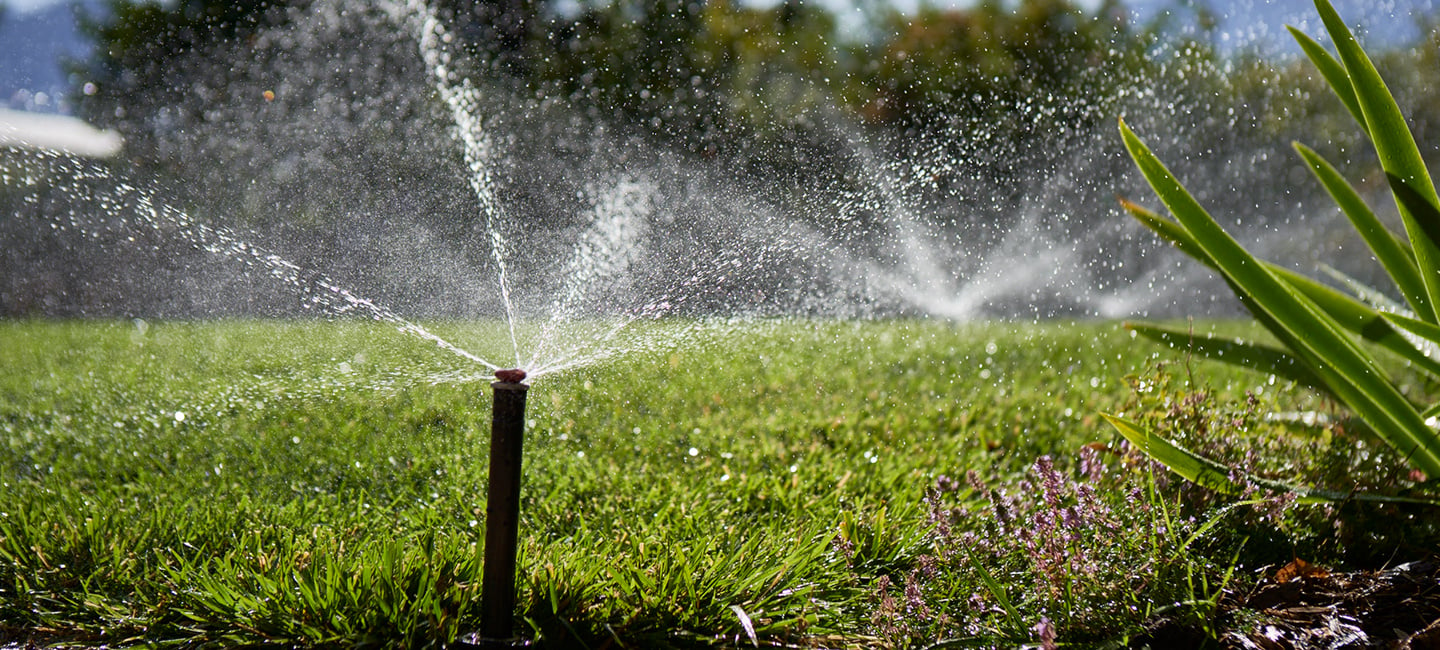 Water wise landscaping tips hero