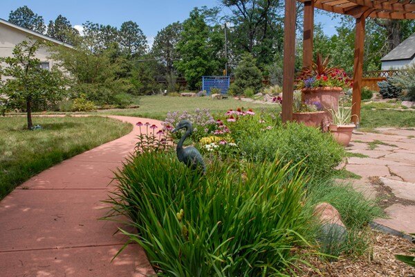 Inspired Native Grass Backyard 