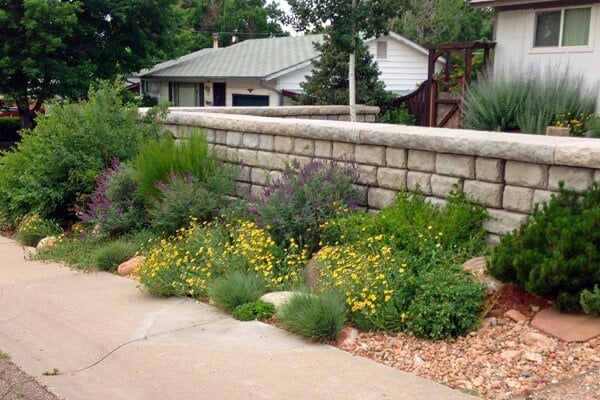 Stunning Sidewalk Garden 