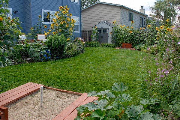 Terraced Turf Backyard 